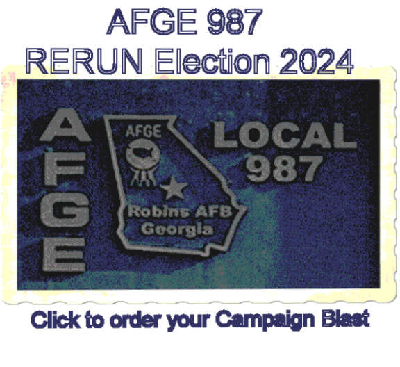 AFGE 987 RERUN Election 2024